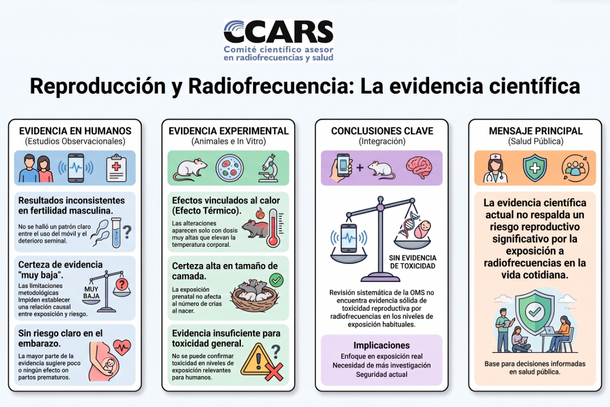 La evidencia científica revisada por la OMS no permite establecer una toxicidad reproductiva general de los campos electromagnéticos de radiofrecuencia